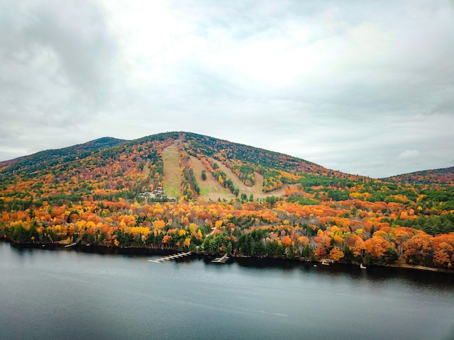 drone / aerial view with a water and mountain view