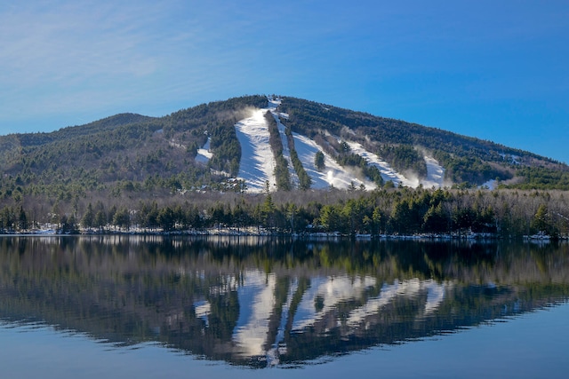 water view featuring a mountain view