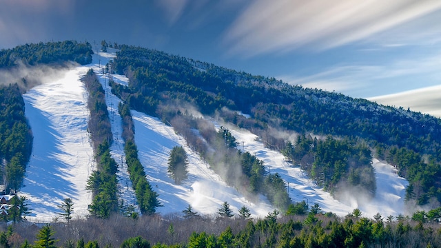 view of mountain feature