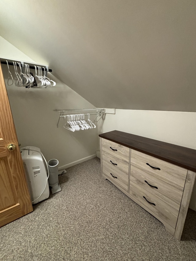 walk in closet featuring vaulted ceiling and carpet