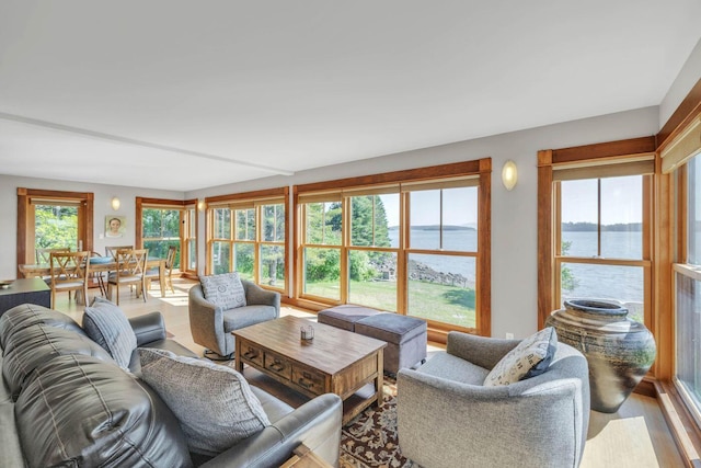 living room featuring hardwood / wood-style floors and a water view