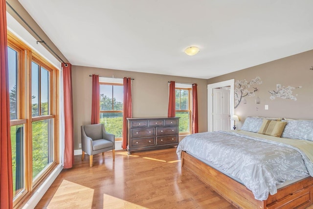 65 Grange Hall Rd, Sullivan, ME 04664 - bedroom with light wood-style flooring and multiple windows