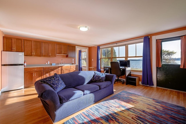 65 Grange Hall Rd, Sullivan, ME 04664 - living room with light wood finished floors