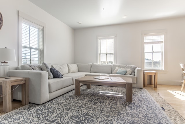 living room with light hardwood / wood-style flooring and plenty of natural light