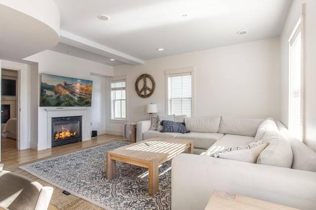 living room featuring light hardwood / wood-style floors