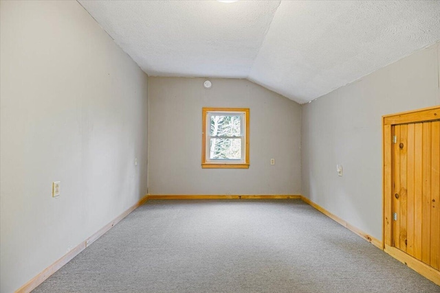 additional living space featuring carpet floors, a textured ceiling, and lofted ceiling