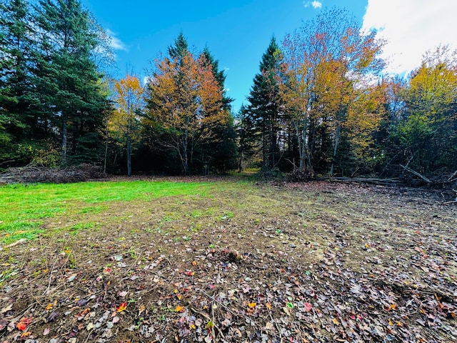 M101L65-1 Line Rd, Dexter ME, 04930 land for sale