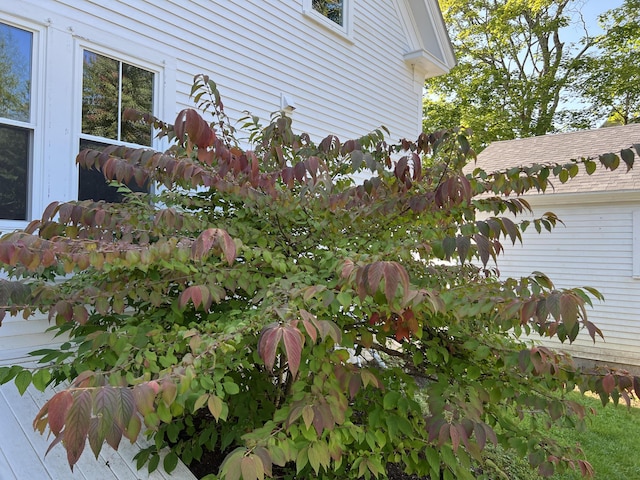 1105 Main St, Mount Desert, ME 04660 - photo 56