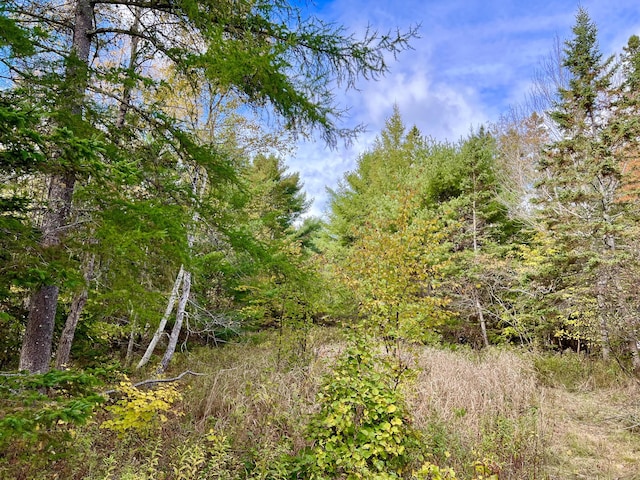 1105 Main St, Mount Desert, ME 04660 - photo 50