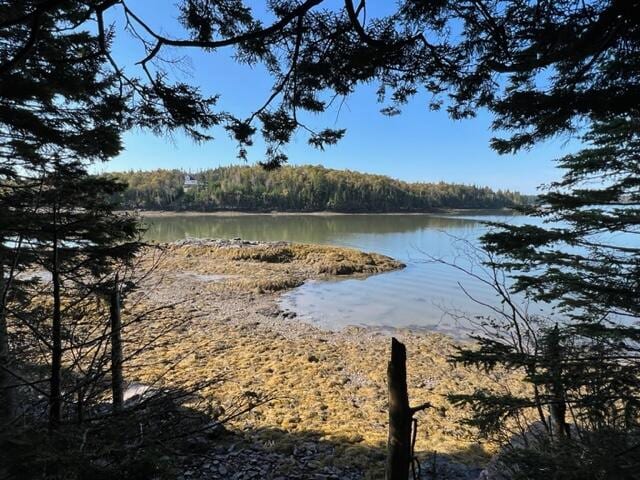 LOT13 Collins Cove Rd, Machiasport ME, 04655 land for sale