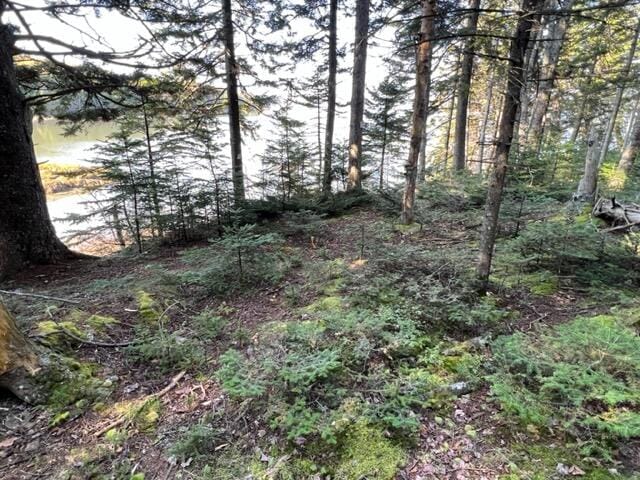 Listing photo 3 for LOT13 Collins Cove Rd, Machiasport ME 04655