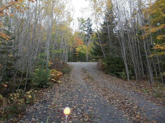 view of road