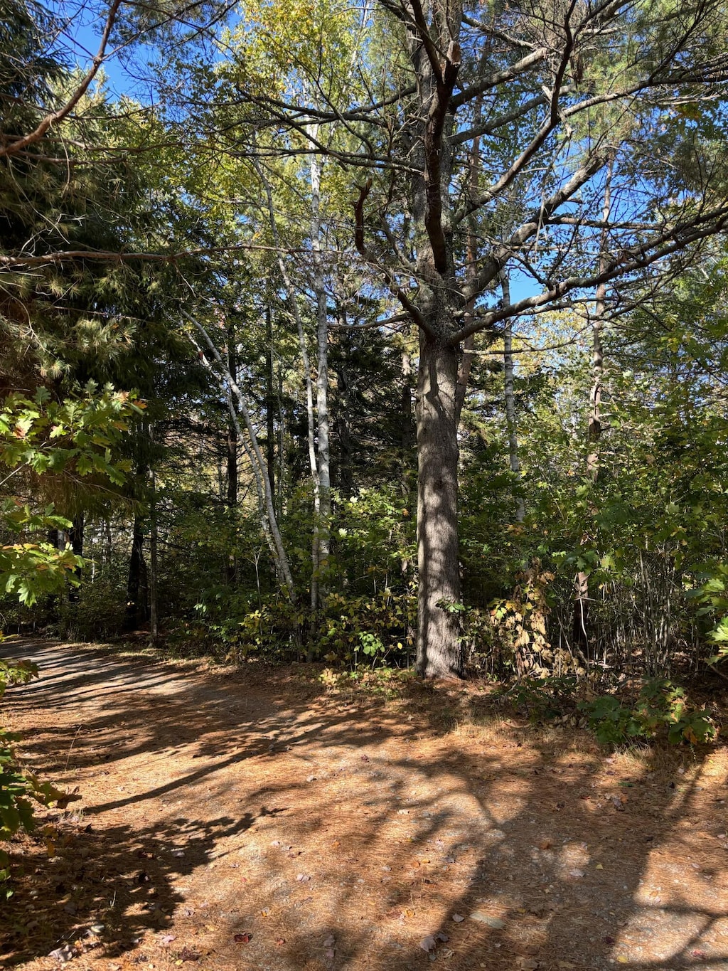 LOT00 Mills Rd, Kennebunkport, ME 04046 - photo 1