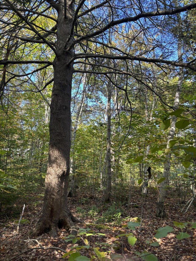 LOT00 Mills Rd, Kennebunkport, ME 04046 - photo 3