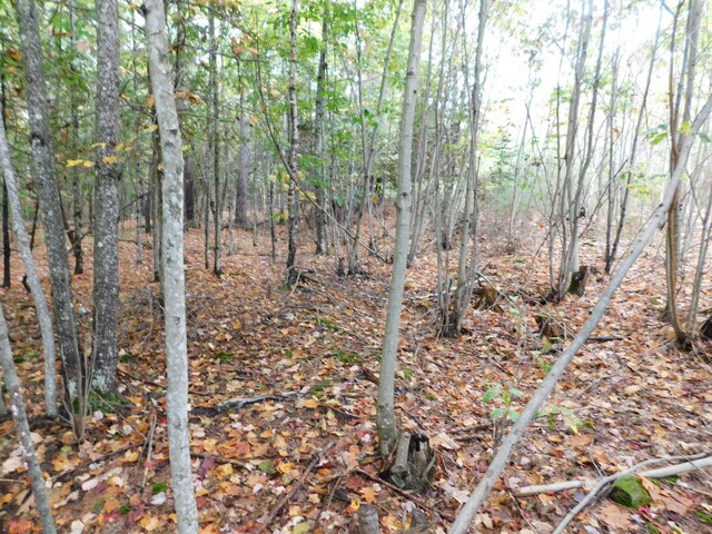 0 Kelly Rd, Orono, ME 04473 - photo 3