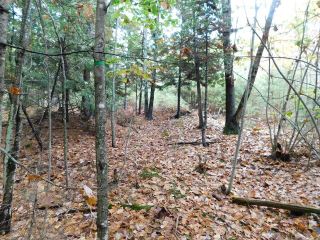 0 Kelly Rd, Orono, ME 04473 - photo 4
