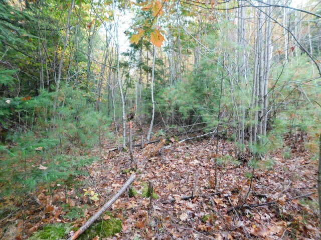 0 Kelly Rd, Orono, ME 04473 - photo 5