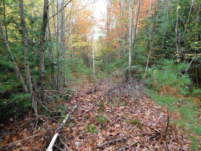 0 Kelly Rd, Orono, ME 04473 - photo 6