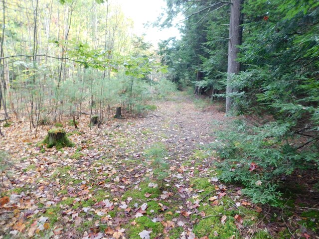 0 Kelly Rd, Orono, ME 04473 - photo 7