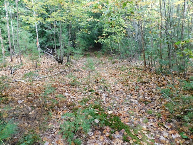 0 Kelly Rd, Orono, ME 04473 - photo 8