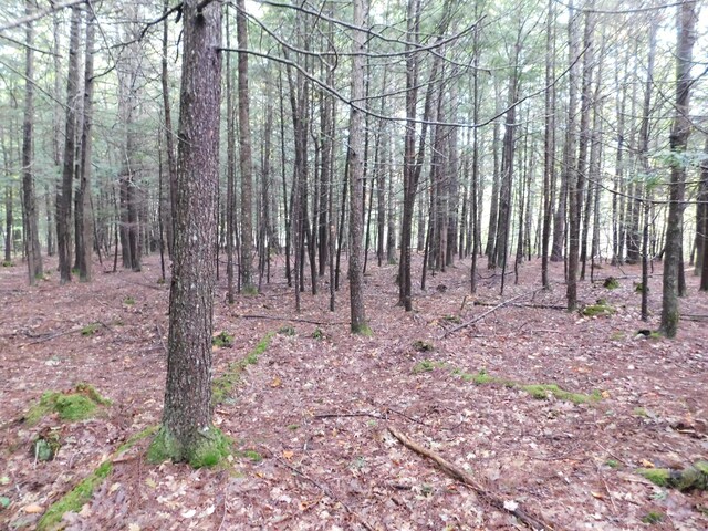 0 Kelly Rd, Orono, ME 04473 - photo 9