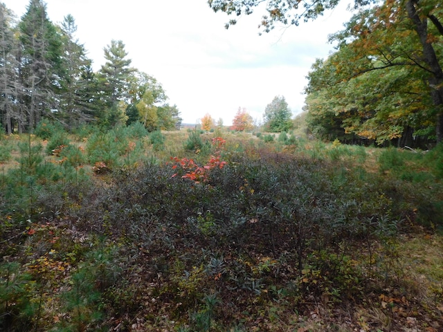 0 Kelly Rd, Orono, ME 04473 - photo 10