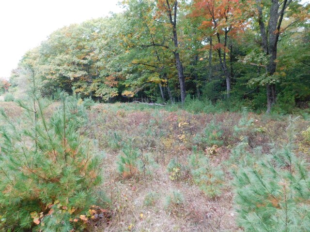 0 Kelly Rd, Orono, ME 04473 - photo 11