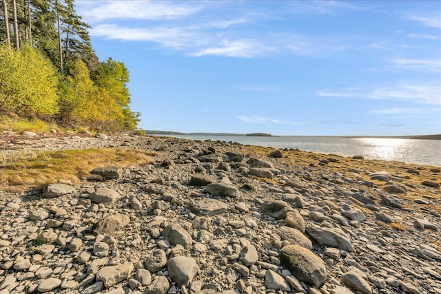 property view of water