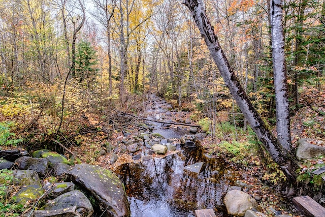 view of nature with a forest view