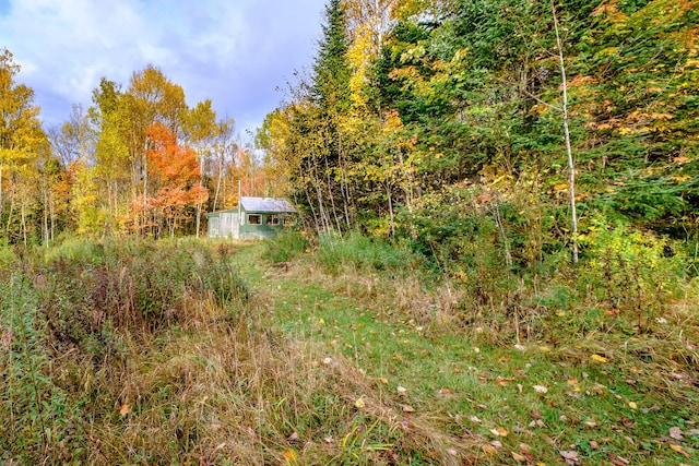 view of yard featuring a wooded view