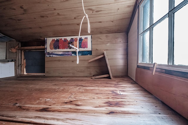 additional living space with hardwood / wood-style flooring