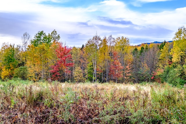 view of landscape