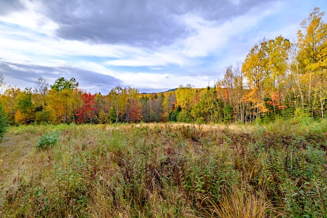 view of landscape