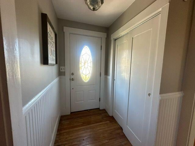 entryway featuring dark wood-type flooring