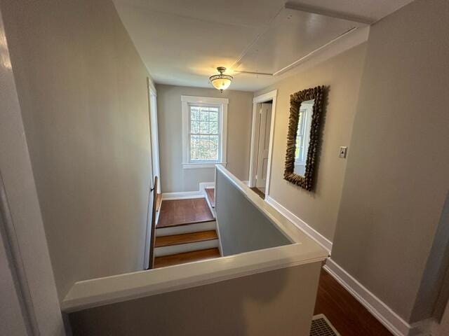 stairs featuring hardwood / wood-style floors