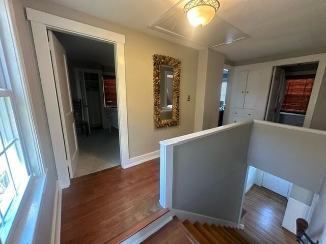 hall featuring dark hardwood / wood-style floors