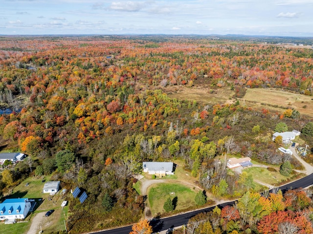 954 Mason Bay Rd, Jonesport, ME 04649 - aerial view of property and surrounding area featuring a forest
