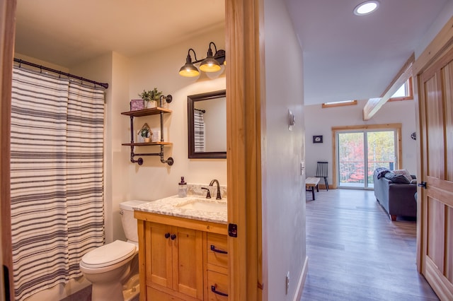 bathroom with vanity, curtained shower, toilet, and wood-type flooring