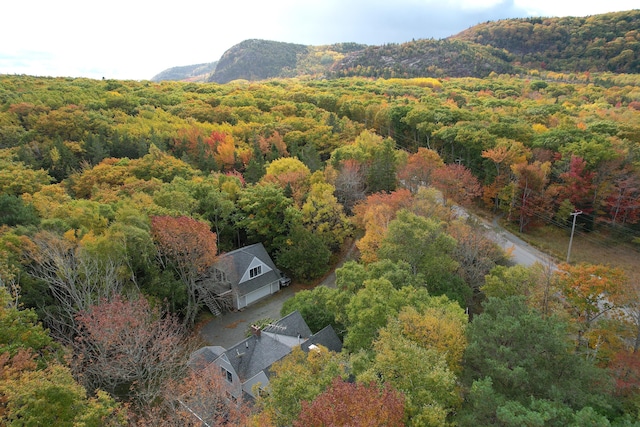 472 Schooner Head Rd, Bar Harbor, ME 04609 - photo 25