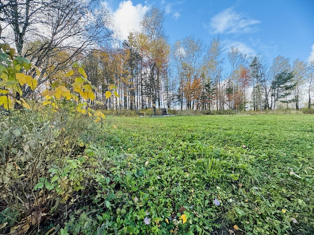 376 Fort Fairfield Rd, Caribou, ME 04736 - view of yard