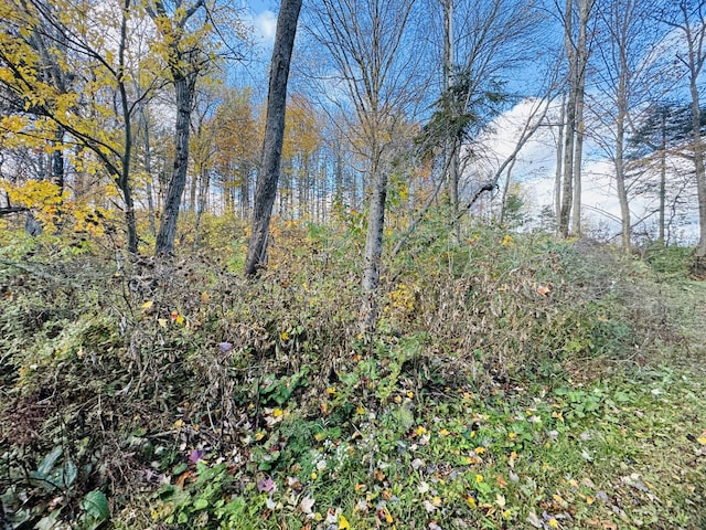 376 Fort Fairfield Rd, Caribou, ME 04736 - view of nature
