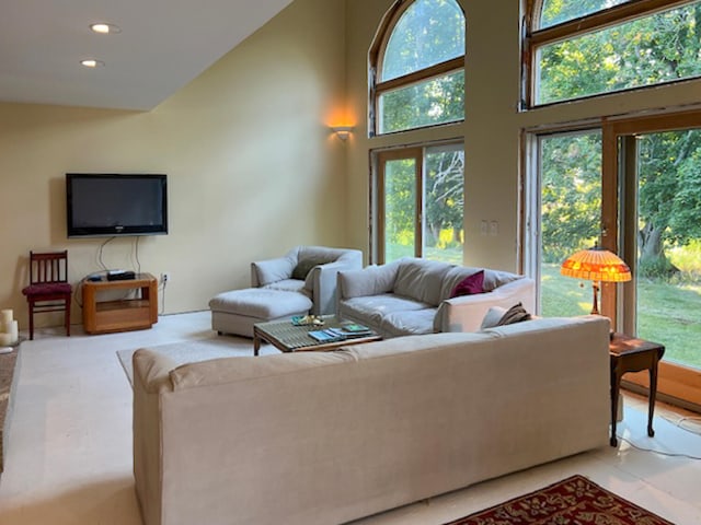 living room with a high ceiling