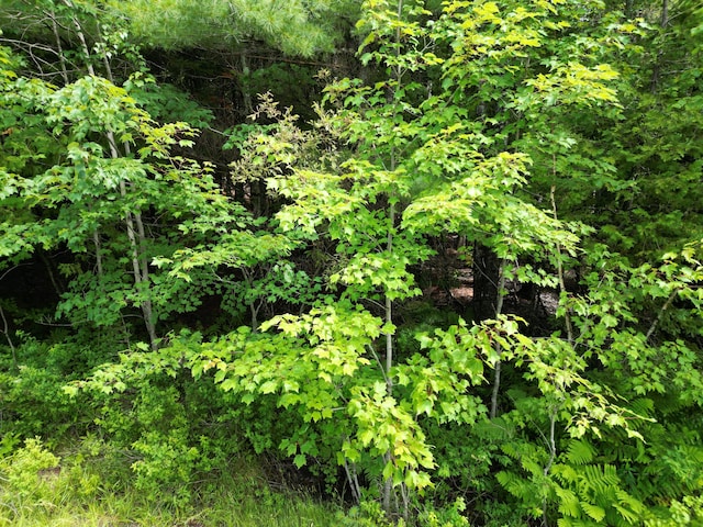 Listing photo 2 for LOT19 Lee Rd, Lee ME 04455