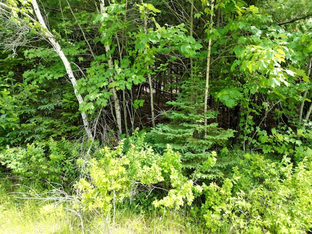 Listing photo 3 for LOT19 Lee Rd, Lee ME 04455