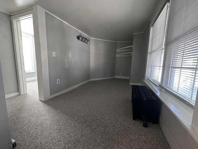 interior space featuring carpet flooring