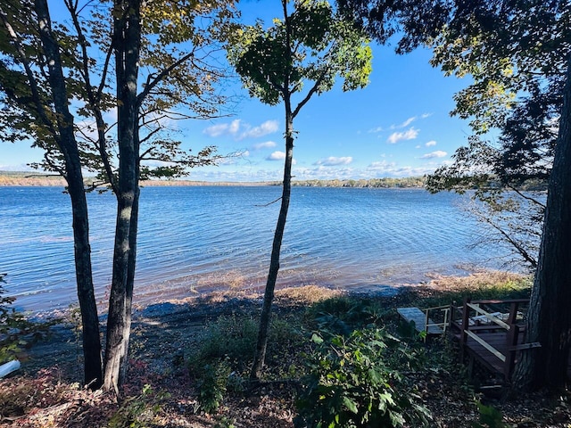 view of water feature