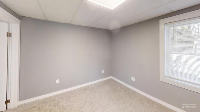 carpeted empty room with plenty of natural light, baseboards, and a drop ceiling