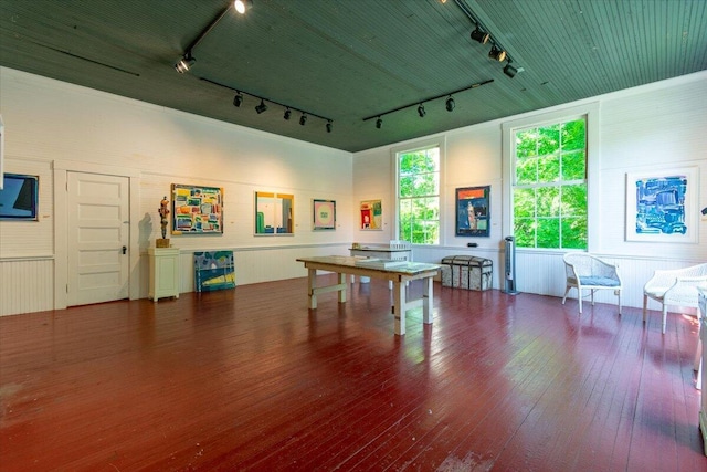 playroom with hardwood / wood-style floors and rail lighting
