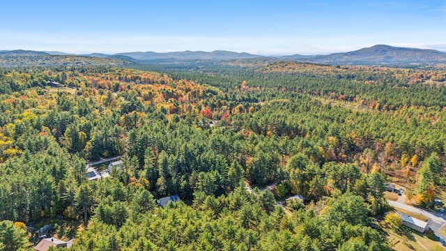 aerial view with a mountain view