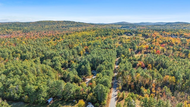 bird's eye view featuring a mountain view